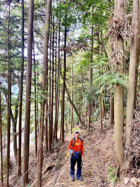 西白毛山下山