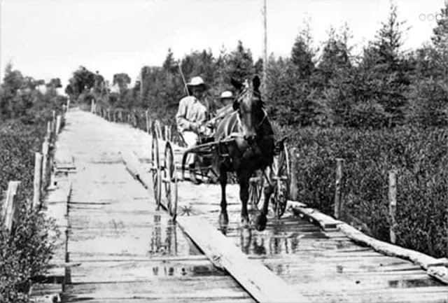Plank Road And Cart