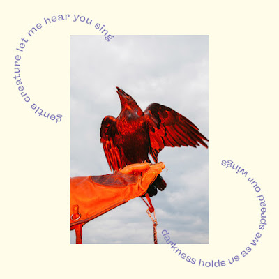 Tara Nome Doyle Shares New Single ‘Crow’