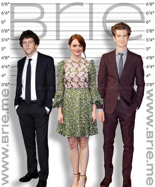 Jesse Eisenberg, Emma Stone and Andrew Garfield height comparison