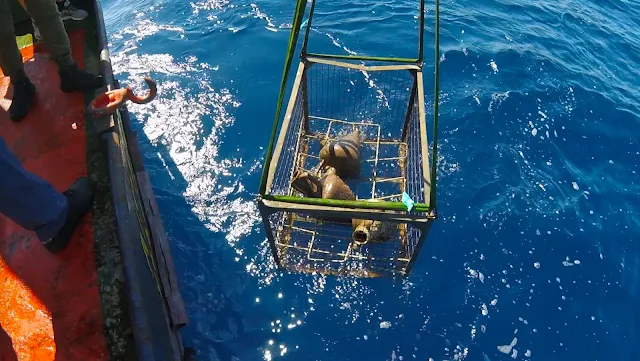 Ο ΑΔΜΗΕ φέρνει στο φως αρχαίο ναυάγιο στα Κύθηρα (βίντεο)