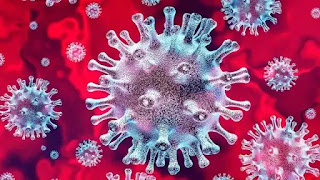 कोविड -19: नया कोरोनावायरस संस्करण इतना डरावना क्यों है ...