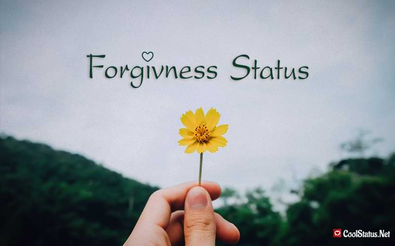 Forgiveness Status, Messages & Forgiveness Quotes