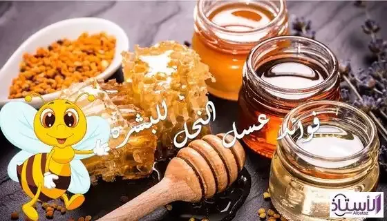 How-to-use-bee-honey-to-treat-dry-skin