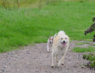 cruzer en skip nemen de benen