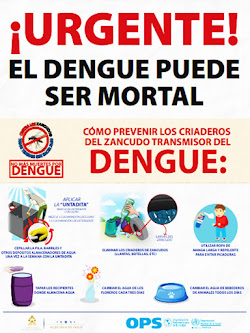 LUCHEMOS CONTRA EL DENGUE