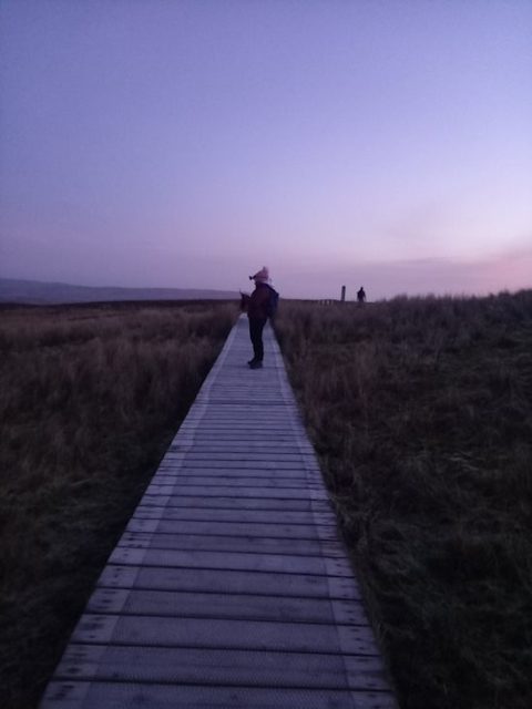 The boardwalk in sunrise