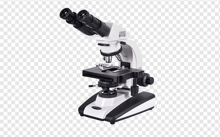 Gambar Mikroskop