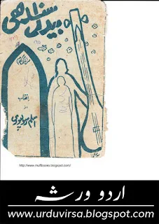 Bedil Sindhi by Aslam Rasulpuri PDF Download
