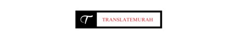 Mr. Ethical's Translate Site