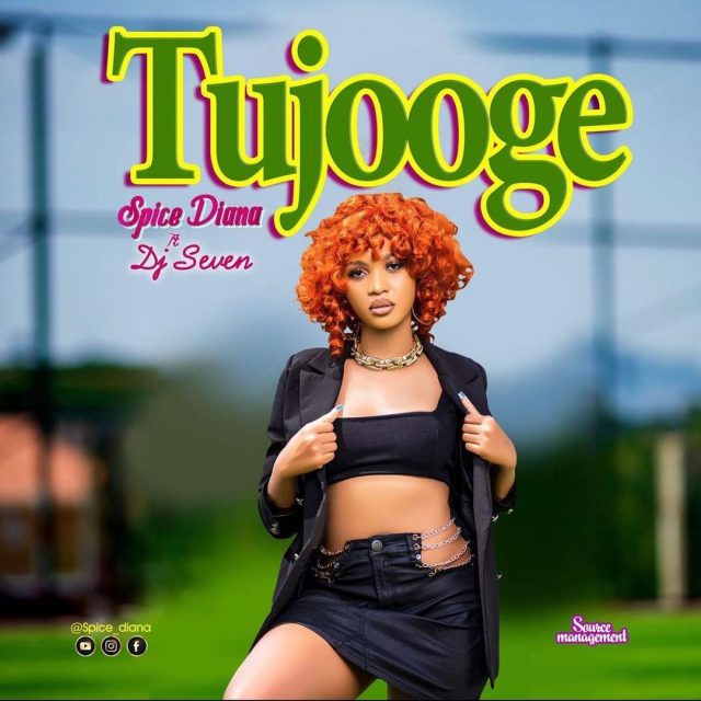 AUDIO | Spice Diana Ft. Dj Seven - Tujooge (Amapiano) Mp3 Download