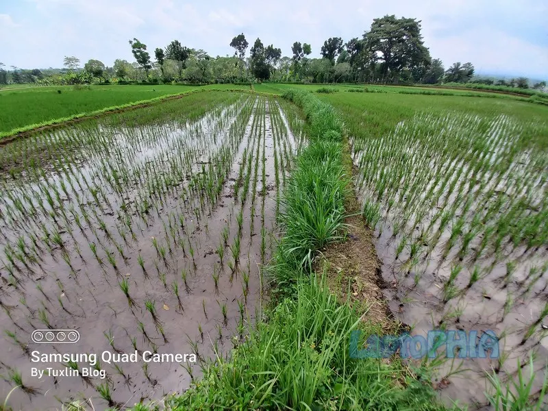 Hasil Foto Kamera Ultra Wide Angle Samsung Galaxy M32