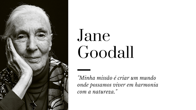 Citações - Jane Goodall