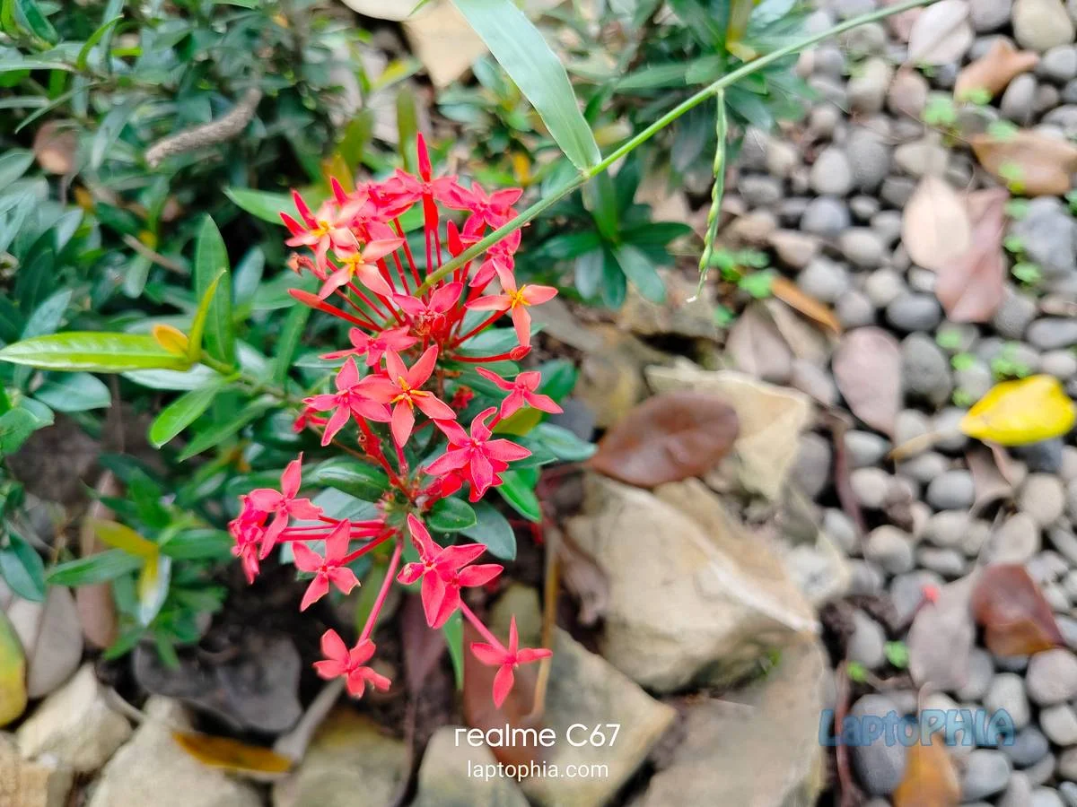 Hasil Foto Kamera Realme C67