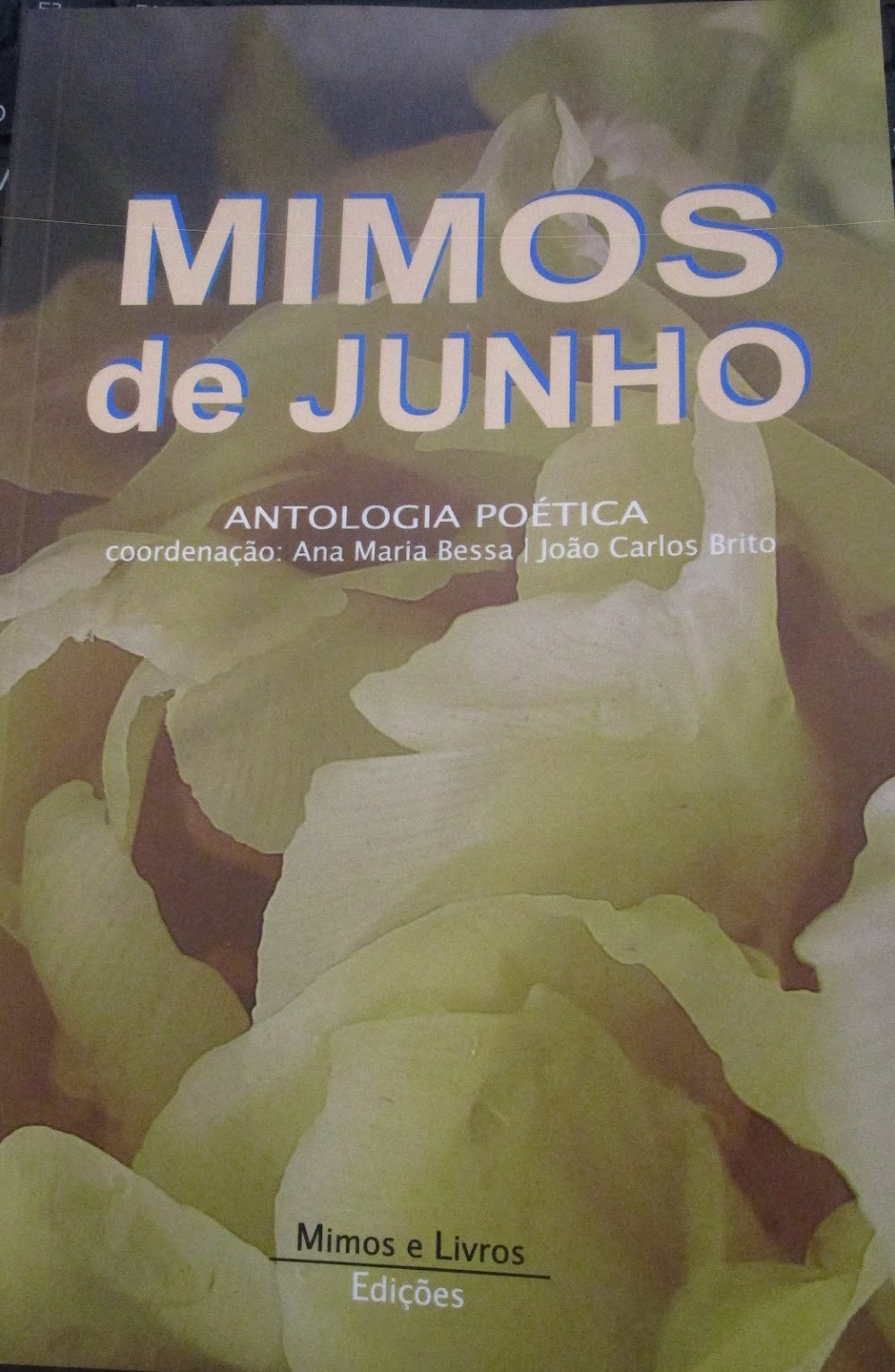 Mimos de Junho