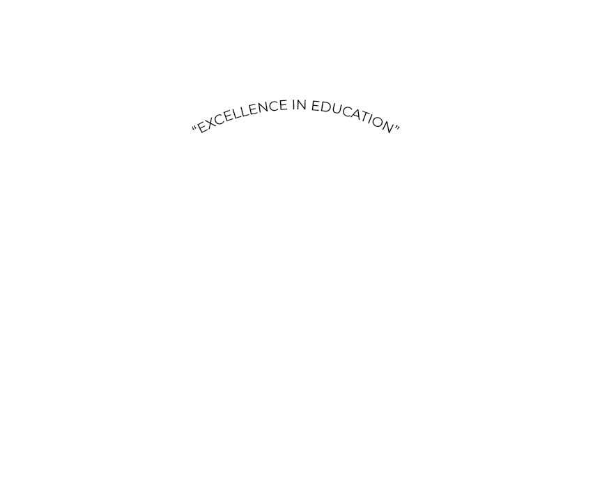 MSI HSS