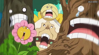 ワンピースアニメ WCI編 806話 ホーミーズ | ONE PIECE Episode 806