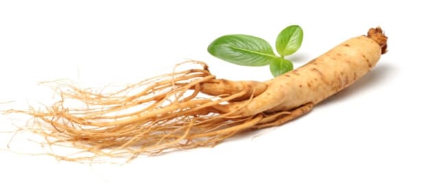 Los beneficios del ginseng para los ovarios: ¿son reales?