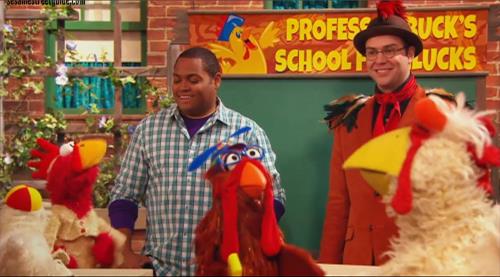 Sesame Street Episode 4501, School for Chickens, Season 45. 3
