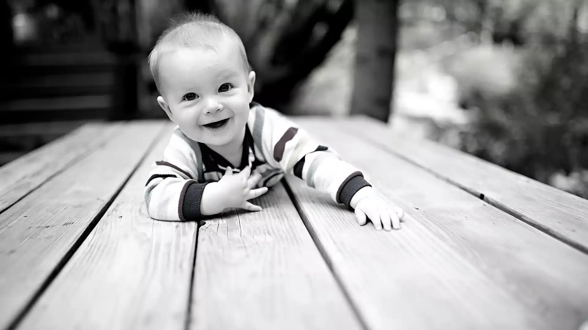 Black and white images for babies