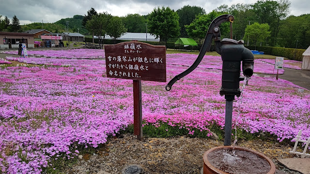 北海道 ひがしもこと芝桜公園 銀嶺水