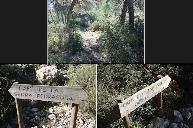 CIMS I COTES DEL BAIX PENEDÈS, EL VENDRELL-EL REPETIDOR-PUIG DEL LLEÓ-PUIG CLAPER-EL RAURELL-ROCA AGUILERA, la Serra Pedregosa a tocar de la tanca de l'Aqualeon