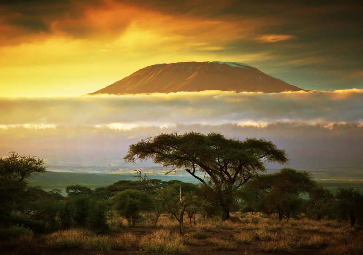 Amboseli National Park