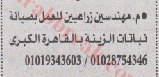 اهم وافضل الوظائف اهرام الجمعة وظائف خلية وظائف شاغرة على عرب بريك