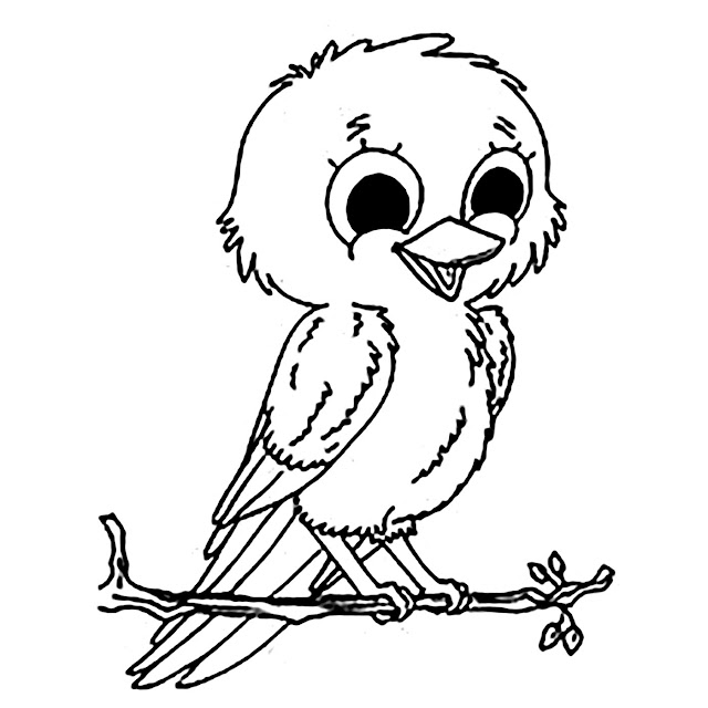 Top 10 Birds Coloring Pages