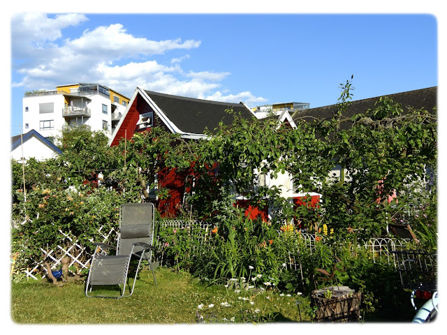 Sommerparadiset  Etterstad kolonihager i Etterstadgata 18C øverst på Vålerenga i Oslo.