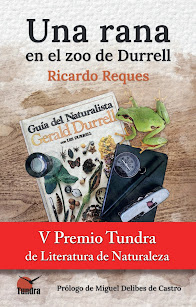 Una rana en el Zoo de Durrell