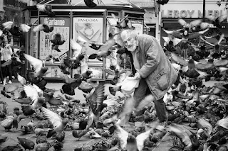 Giuseppe Belvedere et les pigeons du 4ème arrondissement de Paris, à Beaubourg