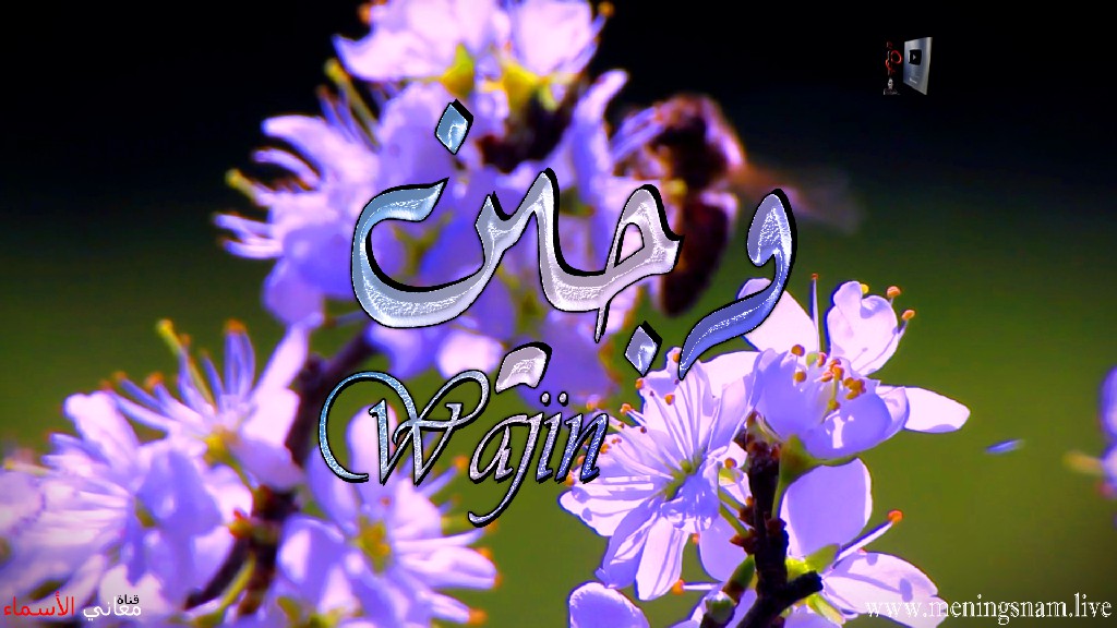 معنى اسم, وجين, وصفات, حاملة, و حامل, هذا الاسم, Wajin, ما معنى, معنى اسم اسماء, اسماء بنات, اسماء اولاد, معنى اسم محمد,  مريم, ميلا,  ليان, معنى اسم علي, ترجمة,  تيا,  يوسف, عمر,  روان,  ريماس,  يزن,  ميرا, ايلا,  نور,  احمد, مترجم, ليا,  ميرال,  سيليا,  اسيل,  ماريتا,  داليا,  ناي, اسماء بنات من الجنة, معنى اسم عمار, حنين,  وجد,  جوى,  لورا,  بندر, سيليا, ارام,  هتان,  حور,  سناء,  وتين,  ملاذ,  ريمان,  مسك, فريال, مازن, ميان, هند, رهام, ما معنى اسم ليان, معنى اسم ايلا,معنى اسم ليا,معنى اسم ميلا,معنى اسم ليلى,معنى اسم تيا,معنى اسم ليان,معنى اسم يارا,معنى اسم ميرا,معنى اسم يزن,معنى اسم مريم