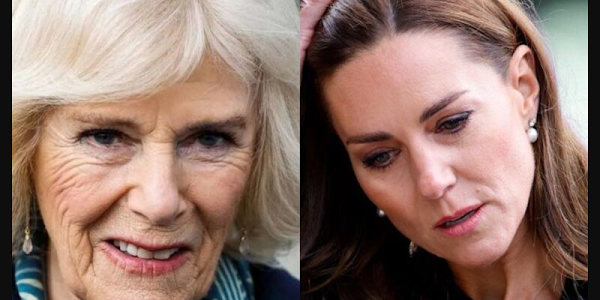 Camilla Parker planea opacar los hijos del príncipe William para vengarse de Kate Middleton