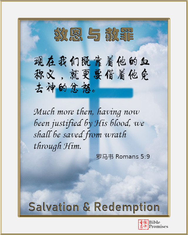 罗马书 Romans 5:9 | Bible Promises