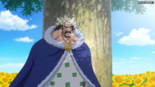 ワンピースアニメ ドレスローザ編 718話 リク王 | ONE PIECE Episode 718