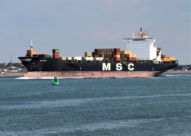 MSC MANDY