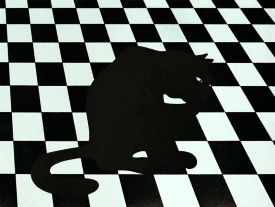 gif z czarnym kotem myjącym swoją przednią łapę, a następnie patrzącym znad łapy w strone obserwatora. w tle jest motyw szachownicy