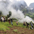 Polda Sumut Musnahkan Dua Hektar Ladang Ganja di Pegunungan Tor Mangompang