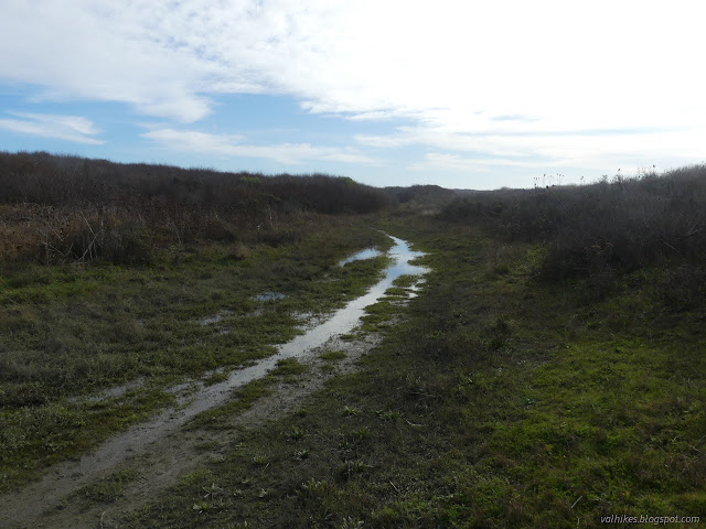 01: long, thin puddle reflecting distant blue sky