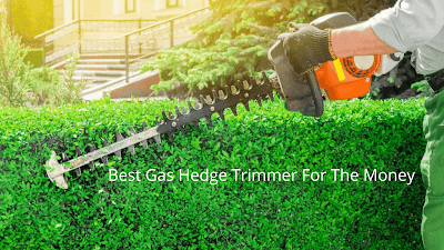Best Gas Hedge Trimmer For The Money