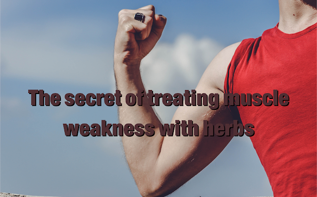 Muscle weakness must be treated if it occurs for health reasons such as muscle inflammation and nerve damage or even as a result of other reasons such as smoking, alcohol consumption or insomnia and some sleep disturbances. Follow the article to learn about types of herbal muscle weakness treatments.