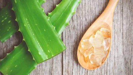 Tips on Managing Eczema