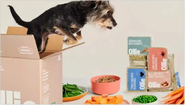 Best Monthly Dog Food Subscription Box