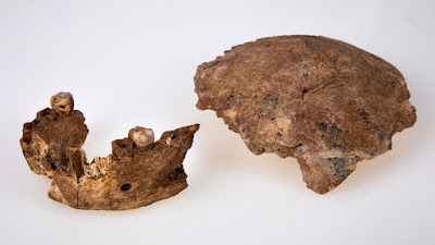 Nesher Ramla Homo fossils
