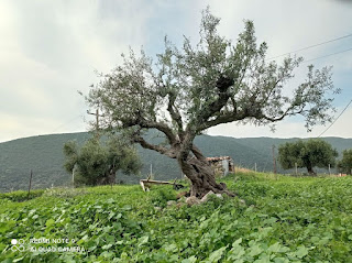 Εικόνα