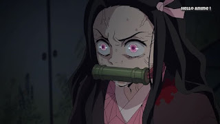 鬼滅の刃アニメ 23話 | Demon Slayer　竈門禰豆子 Kamado Nezuko CV.鬼頭明里