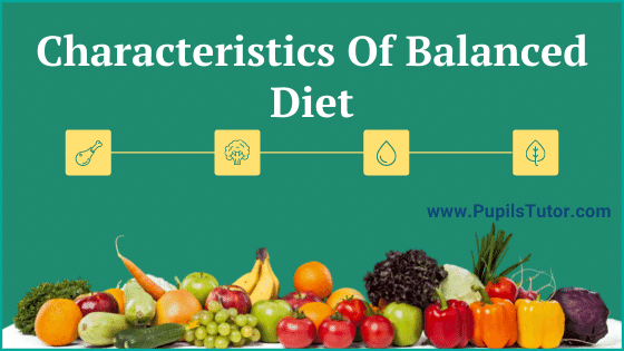 Is Balanced Diet Same For All Ages? - What Is The Best Balanced Diet? | 7 Characteristics Of A Balanced Diet | Balanced Diet Chart For All Age Groups - www.pupilstutor.com