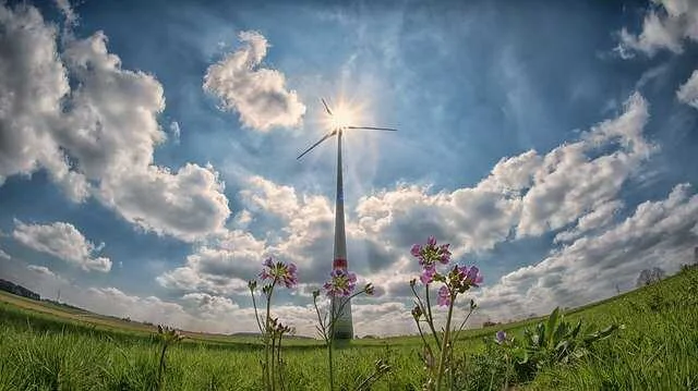 الطاقة الهوائية:  مزايا وعيوب طاقة الرياح موضحة بالكامل