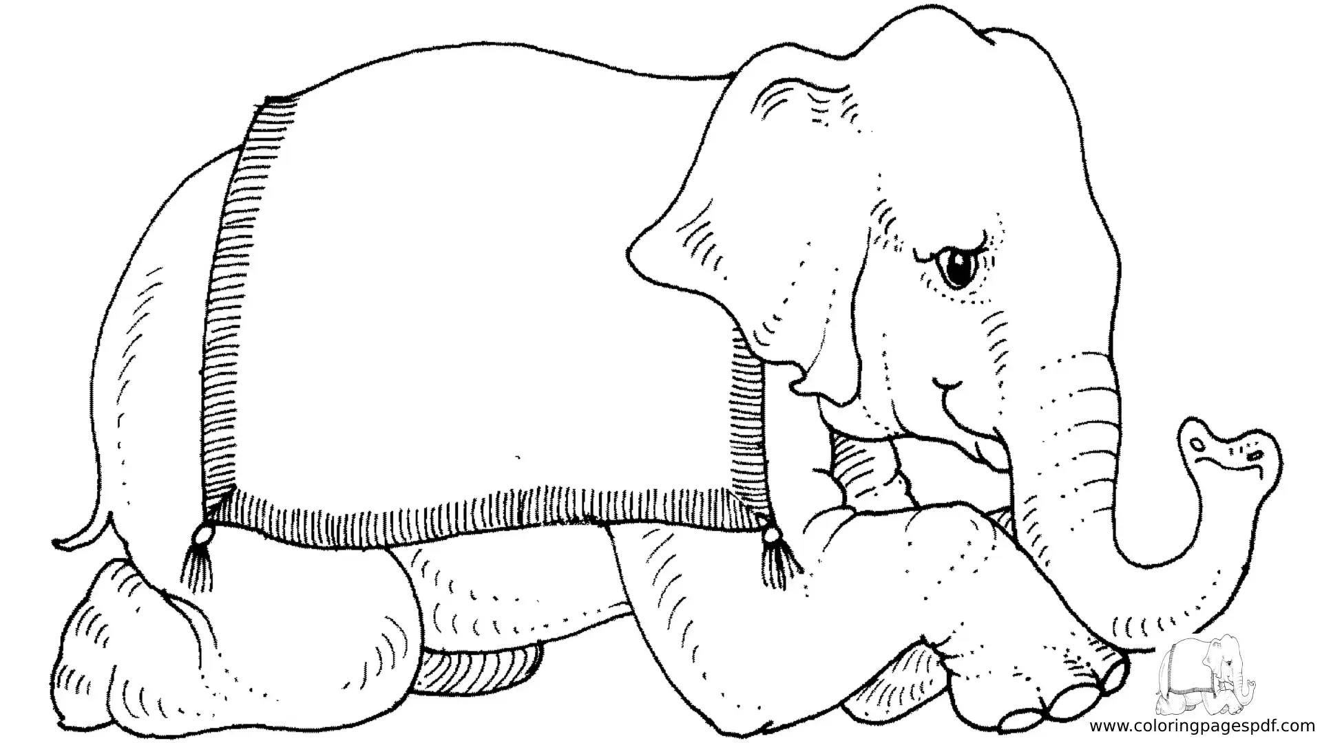 Coloring Pages Of An Elephant With A Cover Sitting